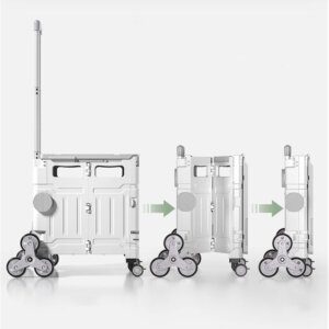 حقيبه السفاري السحرية