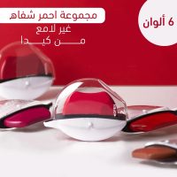 مجموعة أحمر شفاه غير لامع 6 ألوان | روج ثابت ومخملي يدوم طويلًا